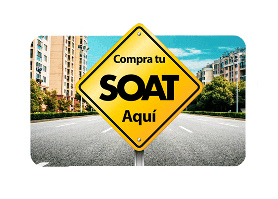 SERVICIOS